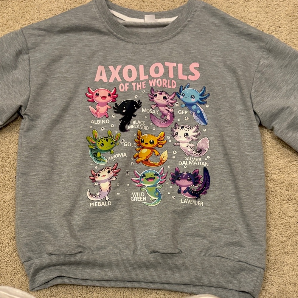 SHEIN Gray Kids Sweatshirt with Colorful Axolotl Print